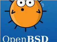 unix类操作系统OpenBSD有什么漏洞？导致什么后果？