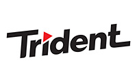 Trident发布的辨识本公司芯片型号的程序