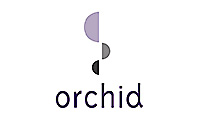 Orchid兰花 Righteous 3d最新驱动3.01版支持最新的DirectX及Gline
