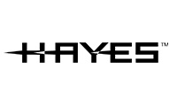 Hayes贺氏A336最新驱动 For Win9x