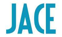 Jace Tech Spectra显卡（Savage3d芯片）2.1B.23版（1999年3月发布）