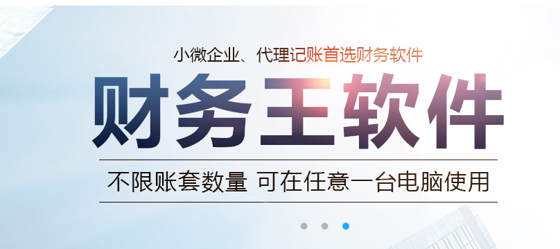 财务王简易版