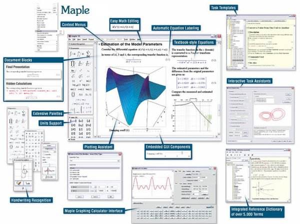 Maple