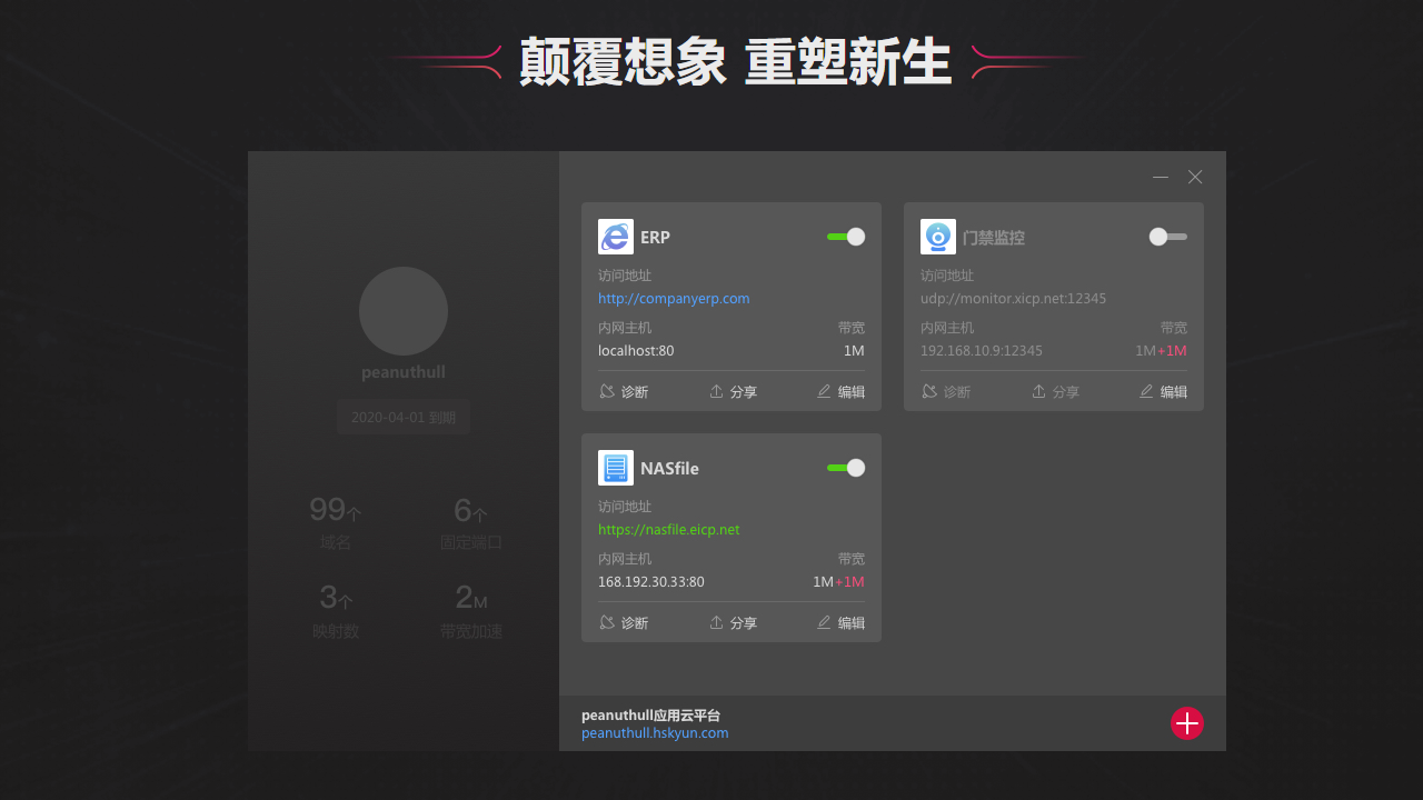 内网穿透软件