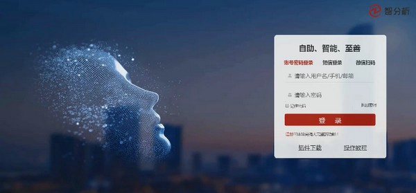 智分析Excel插件