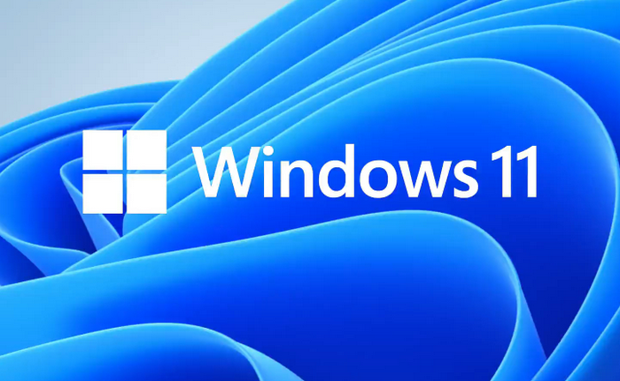 Windows 11